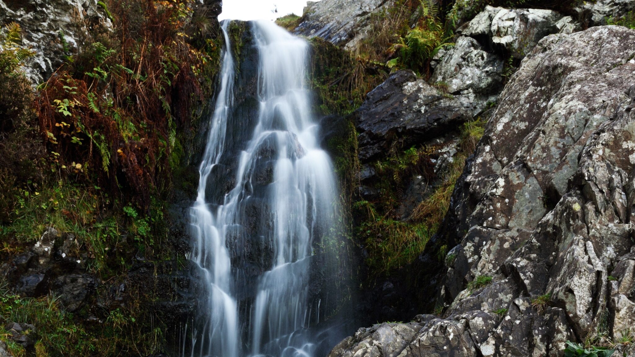 Carding Mill Valley Fieldwork – Turves Green Boys' School