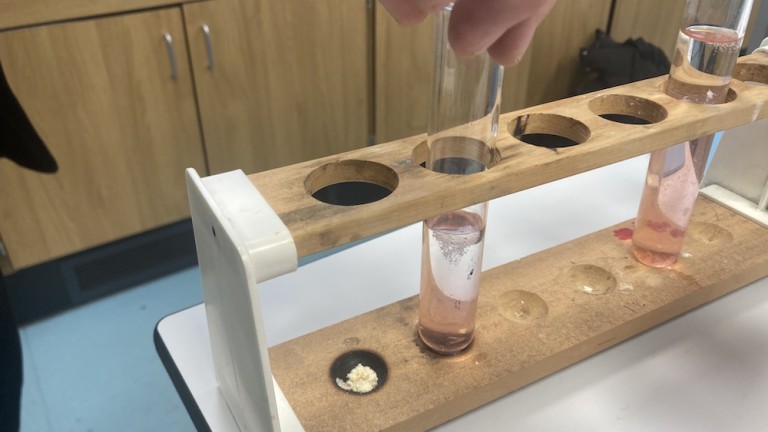 2DB0A609-8494-4620-BE1B-0DE196855577